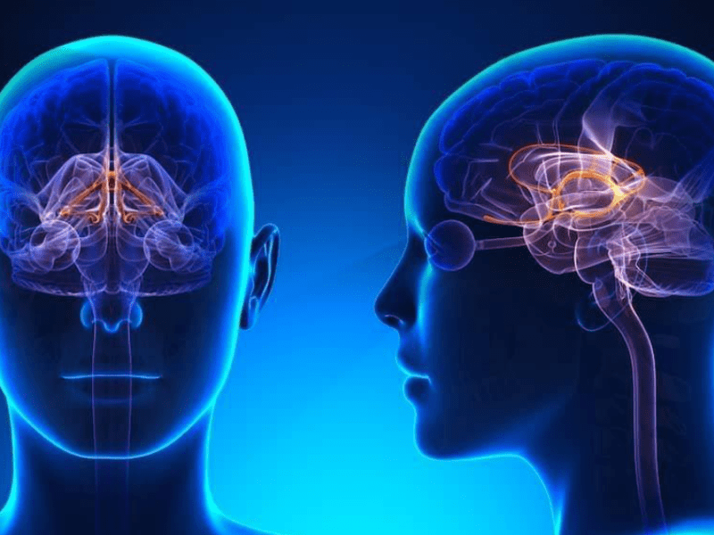 The Science of Sleep: What Happens While We&nbsp;Slumber