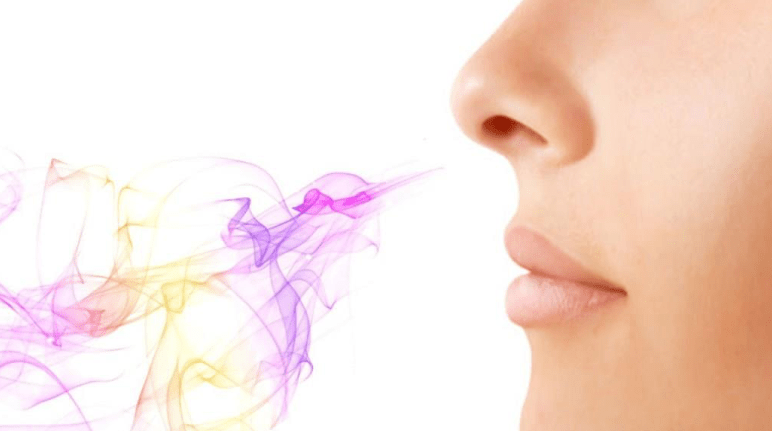 Train the Brain to Regain the Ability to Smell and Combat&nbsp;Anosmia